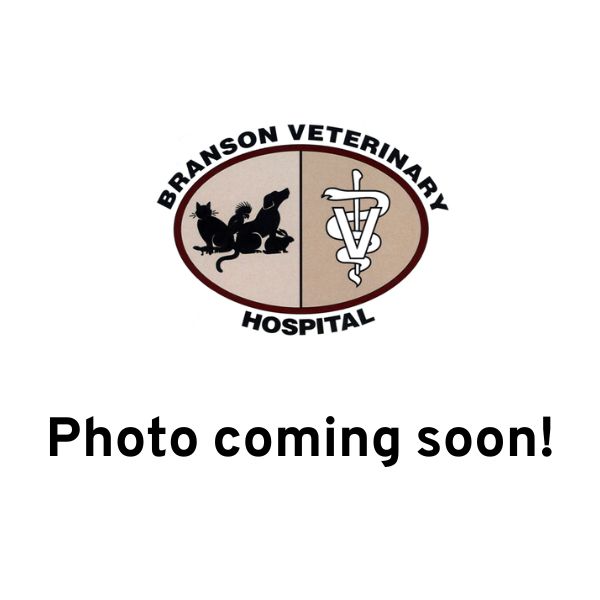 photo coming soon